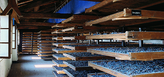 Masi Agricola - Drying lofts