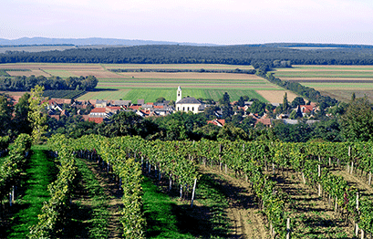 Weingut Prickler - Panorama