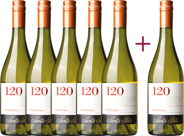 "120 Chardonnay 2019" 5+1 GRATIS Paket 