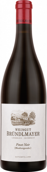 Pinot Noir (Blauburgunder) 2016 