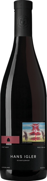 Pinot Noir Ried Fabian 2015 