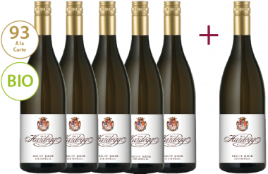 "Pinot Noir Steinbügel 2016" 5+1 GRATIS Paket 