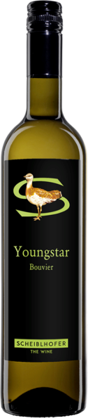 Youngstar 2016 