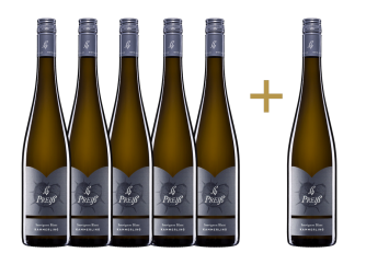 "Sauvignon Blanc Kammerling 2022" 5+1 GRATIS Paket 