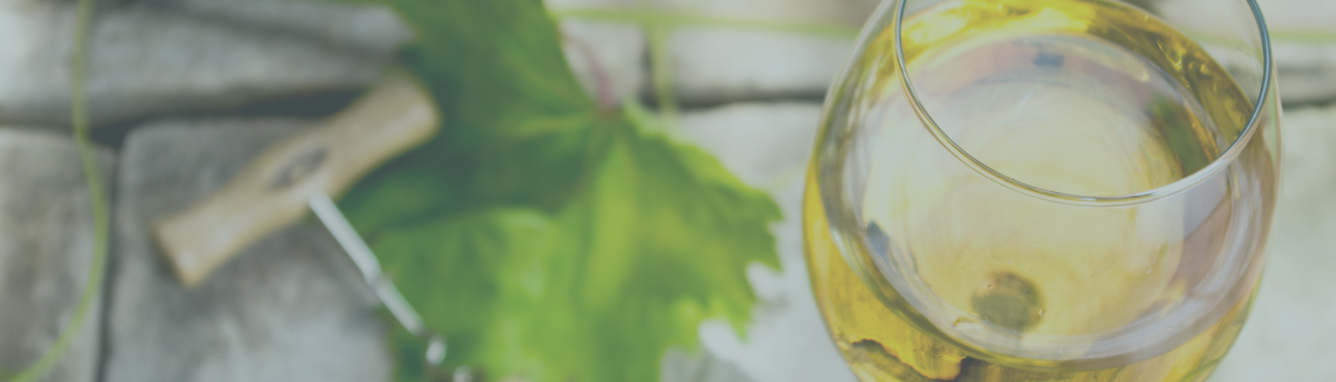 Weine - Auf ALLE lagernden Chardonnays 20% Rabatt 09/2022 - Slider