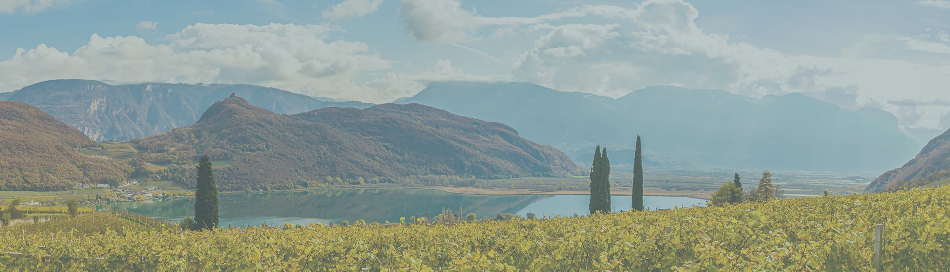 Weine - Auf ALLE lagernden Weine aus Südtirol 20% Rabatt 09/2022 - Slider